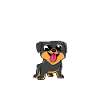 Rottweiler Gifts