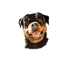 Cadeaux Rottweiler