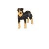 Rottweiler Gifts