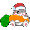 Lapin Carotte Noël Noël