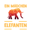 Elefant Elefanten