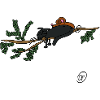 Squiti the black cat with mouse on a branch