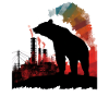 Bear Nature Environment Environmental Protection