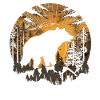 Bear Nature Environment Environmental Protection
