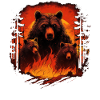 Bear Nature Environment Environmental Protection