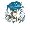 Bear Nature Environment Environmental Protection