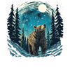 Bear Nature Environment Environmental Protection