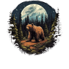 Bear Nature Environment Environmental Protection