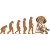 Evolution German Shorthaired Pointer