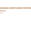 German Shorthaired Pointer Definition