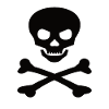 Pirate Flag Skull