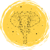 Elefant
