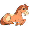 Little foal for children