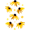 Coneflower yellow flowers