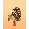 Pastel Monstera