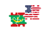 Mauritania USA Flag American Mauritanians