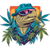 Turtle 2