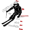 Skifoan