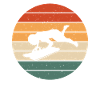 Retro Skeleton Design