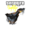 TF NIGHTLIFE 3