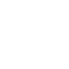 USA Flag Skeleton America