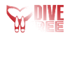 Freediving Dive Free Freediving