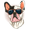 Sunglasses Dogs Frenchie French Bulldog