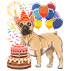 Dog Birthday Gift French Bulldog