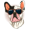 Frenchie Sunglasses Dogs French Bulldog
