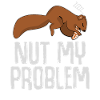 Schlafendes Eichhörnchen schläft