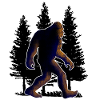 Big foot, Bigfoot