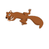 Eichhörnchen Not my Problem
