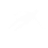 Parkour