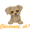Chiweenie Dog