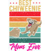 Chiweenie Dog