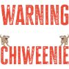 Chiweenie Dog