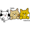 Chats