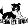 Seeing Eye Human 34