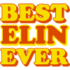 Elin First Name Funny Gift