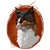Mapleshade Maple Shadow Warrior Cats Cat Tortie