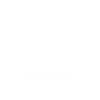 Seeotter Fischotter Otter