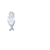 Seehund Seelöwe Robbe