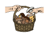 Mushrooms Funny mushroom harvest