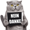 Nein Danke Katze