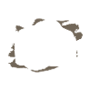 Dont Be Negative Photographer
