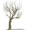 Tree without leaves - modificated
