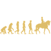 Évolution de l’équitation
