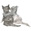 Aquarelle de chat