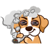 Sneaky Dutchmann Beagle