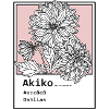 Dahlias Akiko